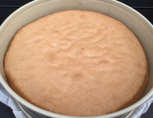 Lagkagebunde, flækkede